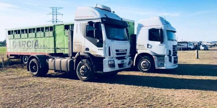 El costo de la ideología: Exportadores advierten pérdidas millonarias por mercadería parada.