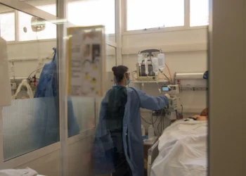 Se registra un nuevo caso de hantavirus en Bariloche: la paciente está en terapia intensiva