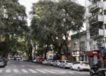 Emergente corredor urbano en Buenos Aires: plazas, bares y proyectos de lujo que atraen inversiones