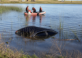 Cuatro hermanas pierden la vida tras un accidente en una laguna