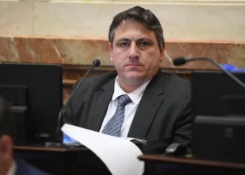 Un senador libertario critica la reunión entre Villarruel y Michelli y apacigua la tensión oficialista