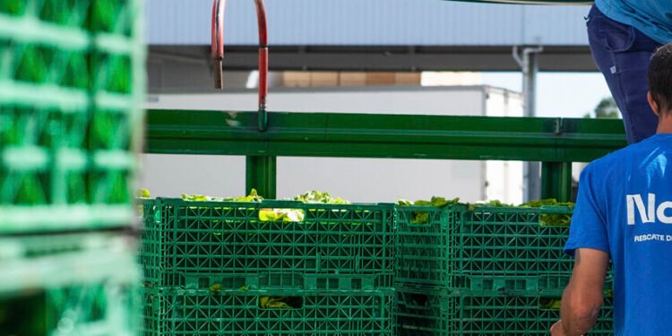 Colaboración efectiva: más de 1,6 millones de kilos de alimentos frescos fueron rescatados
