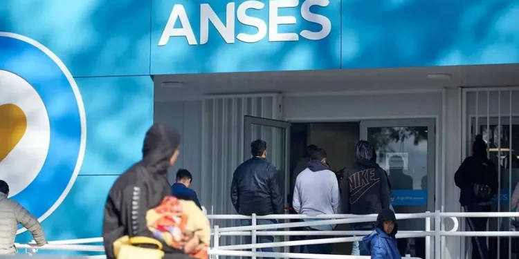 ANSES: quiénes reciben pagos el martes 14 de julio de 2026