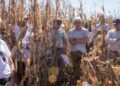 El Gobierno implementa créditos accesibles para el sector agropecuario con el fin de estabilizar los precios de los alimentos