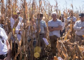 El Gobierno implementa créditos accesibles para el sector agropecuario con el fin de estabilizar los precios de los alimentos