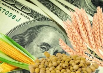 Estabilidad del dólar, récord en exportaciones y incremento en el precio de la soja: el Gobierno celebra novedades cambiarias, aunque el salario real continúa en descenso