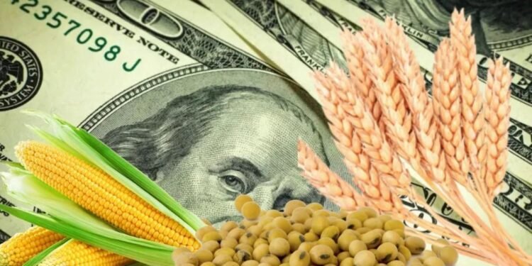 Estabilidad del dólar, récord en exportaciones y incremento en el precio de la soja: el Gobierno celebra novedades cambiarias, aunque el salario real continúa en descenso