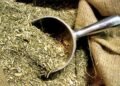 Un intento fallido que dio vida a una nueva marca de yerba mate