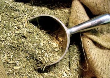 Un intento fallido que dio vida a una nueva marca de yerba mate