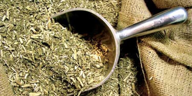 Un intento fallido que dio vida a una nueva marca de yerba mate