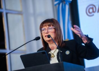 Tensión en La Libertad Avanza: Patricia Bullrich critica el plan económico y se retracta