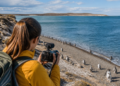Oportunidad de voluntariado en Puerto Madryn: alojamiento gratuito a cambio de trabajo creativo