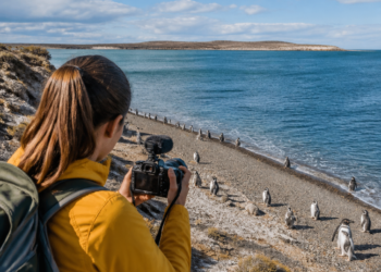 Oportunidad de voluntariado en Puerto Madryn: alojamiento gratuito a cambio de trabajo creativo