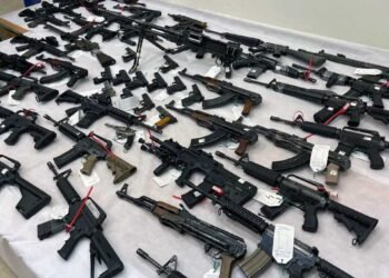 Las bandas que usurpan campos en Salta y Santiago del Estero: un fenómeno de explotación y conexión política