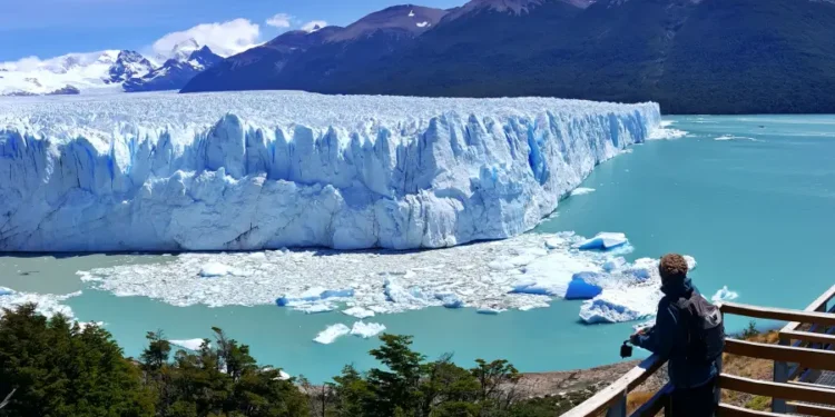 La Patagonia experimenta un aumento en la humedad, pero expertos advierten sobre el riesgo de incendios hacia el final del verano